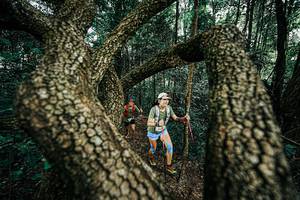 BIB: 
                            <button type="button" onclick="openModal(25394122)" class="btn btn-primary btn-sm float-right btn-popup" data-toggle="modal" data-target=".modal-high-quality">
                        <i class="fas fa-shopping-cart"></i> Add to Cart
                    </button>
                                            <button type="button" onclick="isThisMe(25394122, true)" class="btn btn-success btn-sm float-right btn-popup btn-isme hidden" data-toggle="tooltip" data-placement="bottom" title="นี่คือรูปของคุณใช่ไหม คลิกที่นี่เพื่อเอาเข้าอัลบั้ม">
                        <i class="fas fa-plus"></i> Add to album
                    </button>
                    <button type="button" onclick="isThisMe(25394122, false)" class="btn btn-warning btn-sm float-right btn-popup btn-isnotme hidden">
                        <i class="fas fa-ban"></i> Remove from album
                    </button>